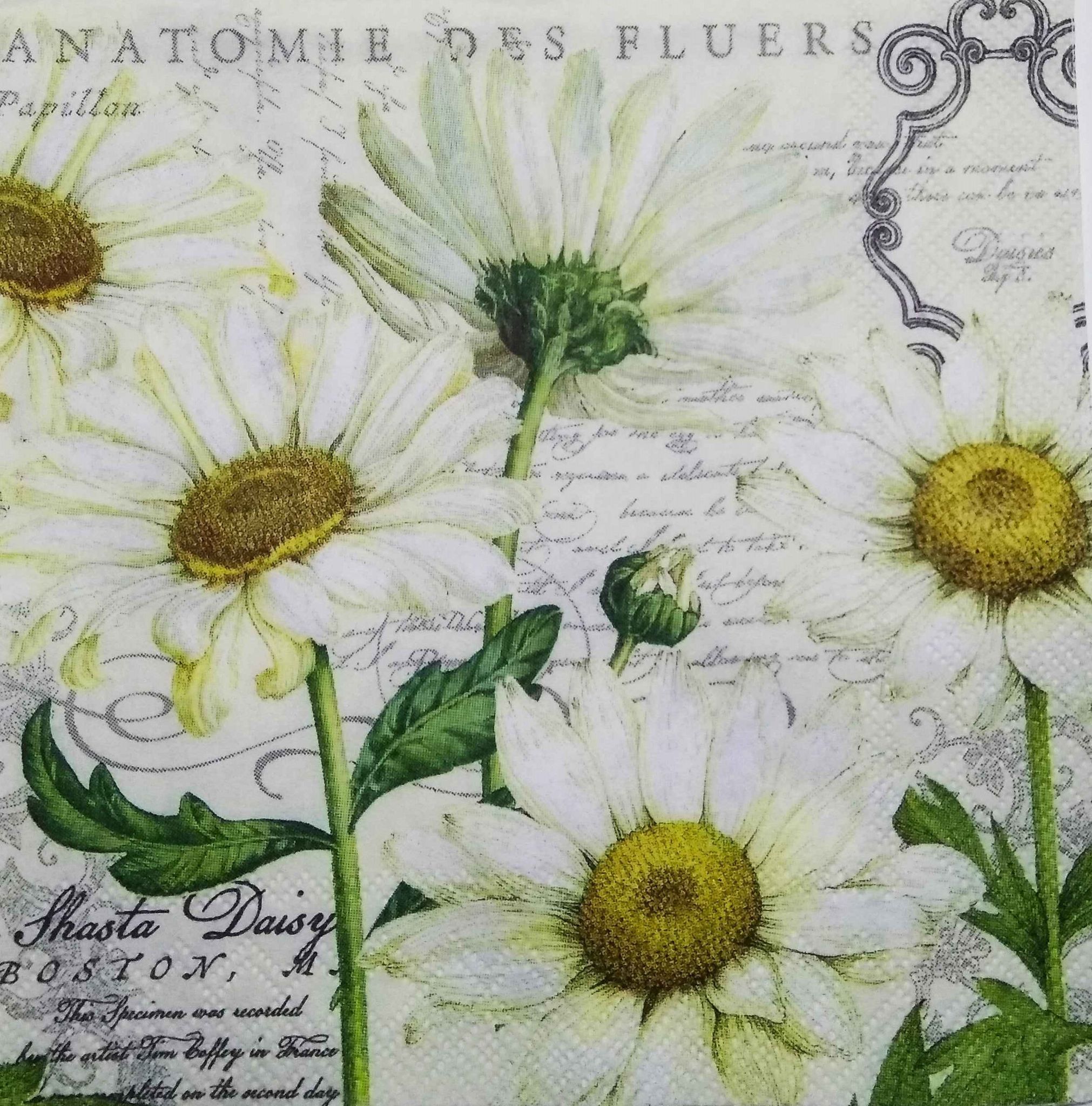 Decoupage Napkin / Tissue papers - 25cm*25cm - GT3216