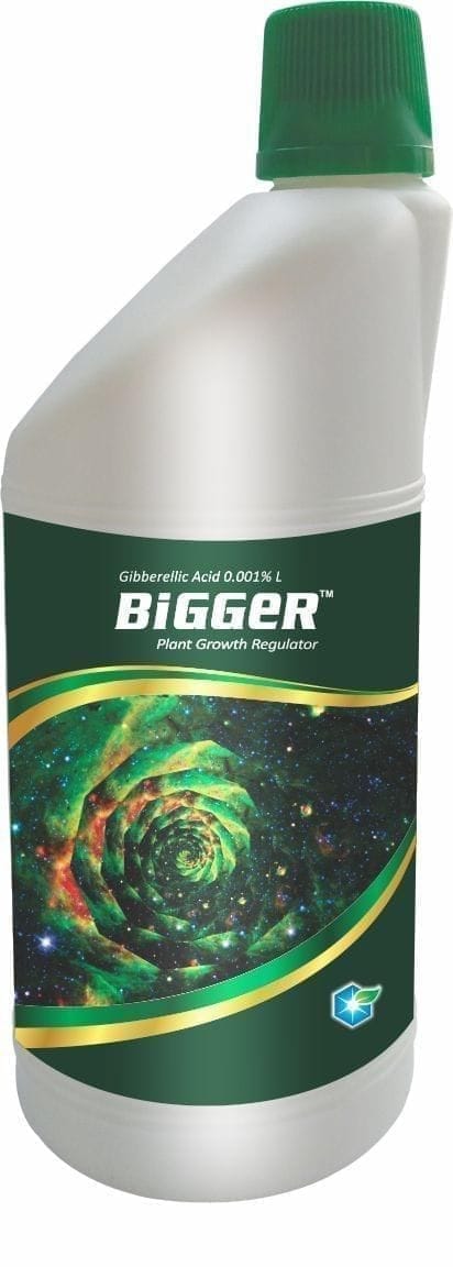 BIGGER