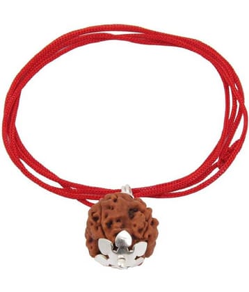 Astrodidi 6 Mukhi Rudraksha With Silver Cap Pendant With Lab Certificate