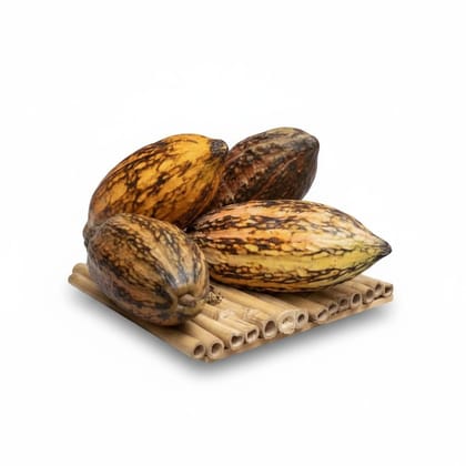Premium Raw Cacao Pods - 1 kg - Single pack containing multiple cacao pods