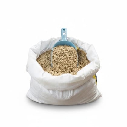 Premium Whole Wheat Grains - 10 kg - One 10kg sack of wheat