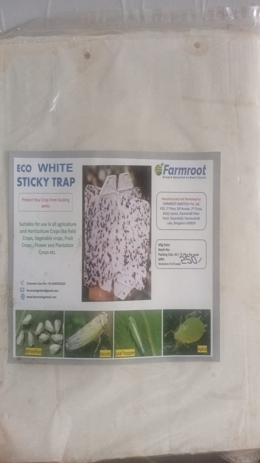 FARM ECO STICKY TRAP (10 SHEETS)