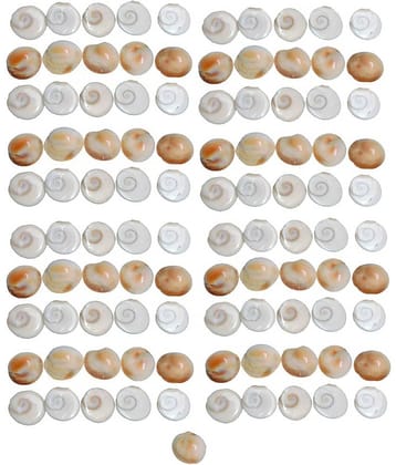 Shri Astha Vinayak Mart Marble Gomti Chakra