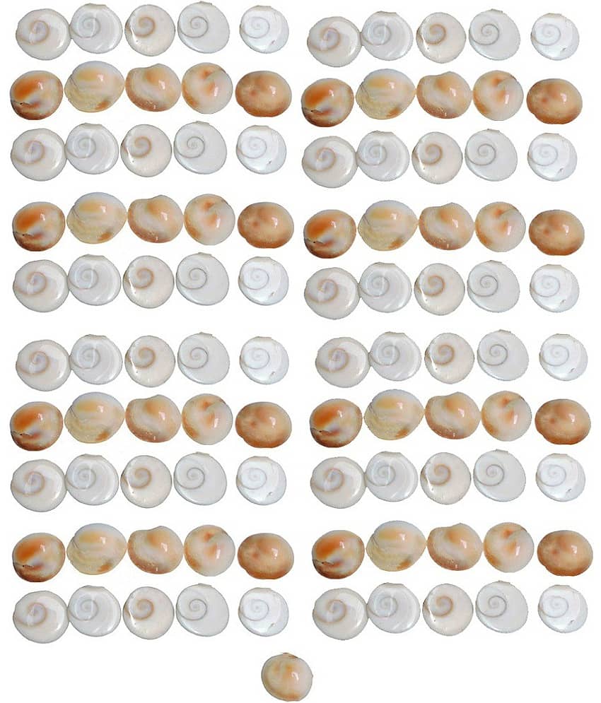 Shri Astha Vinayak Mart Marble Gomti Chakra