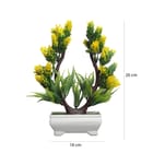 ... ...
