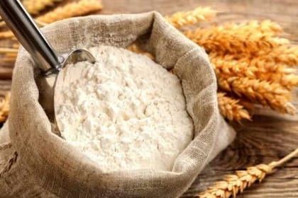 Premium Wheat Flour - 100 kg - One bulk sack