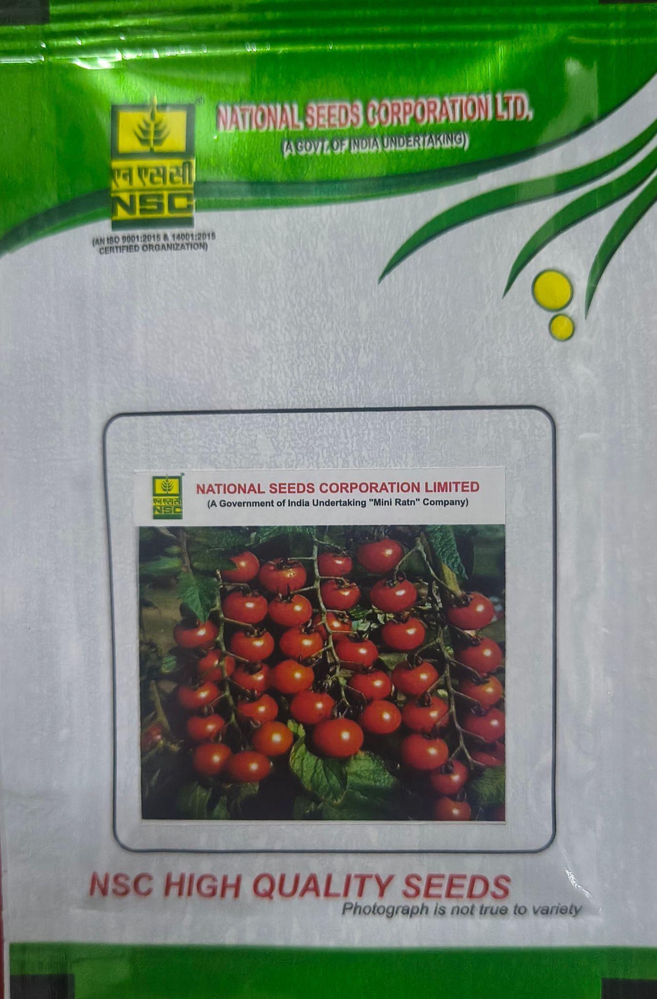NSC Cherry Tomato-3 Seed, 1gm