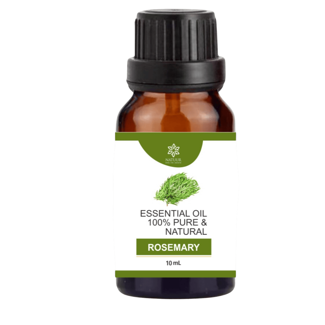 FOCUS | Rosemary Essential Oil | Steam Distilled | Pure | Stimulate | Revitalise | Elevate