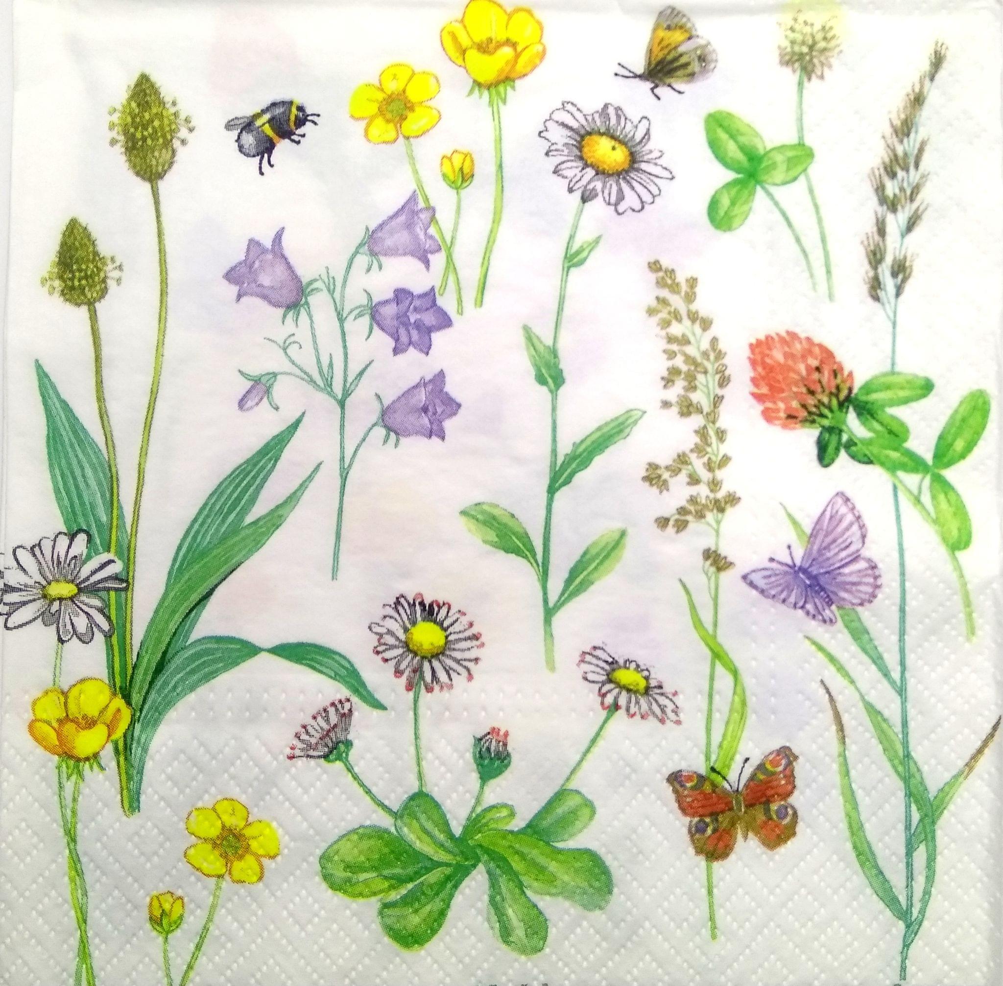Decoupage Napkin / Tissue papers - DGT1893