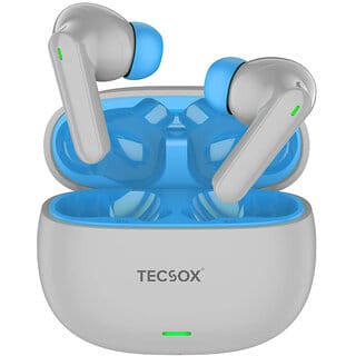 Tecsox AudioX In Ear TWS Gray