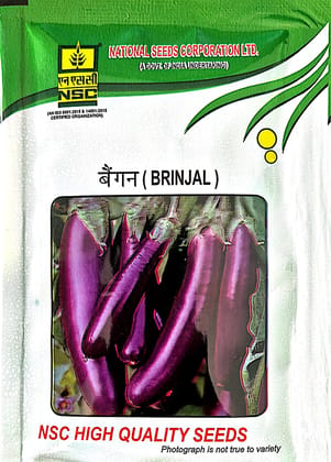 Nsc brinjal ppl seeds - 10 gm