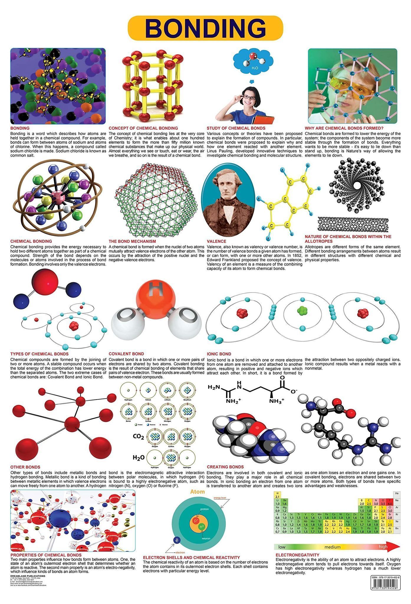 Bonding Wall Chart (Science Chart) - Both Side Hard Laminated (Size 48 x 73 cm) [Poster] Dreamland Publications