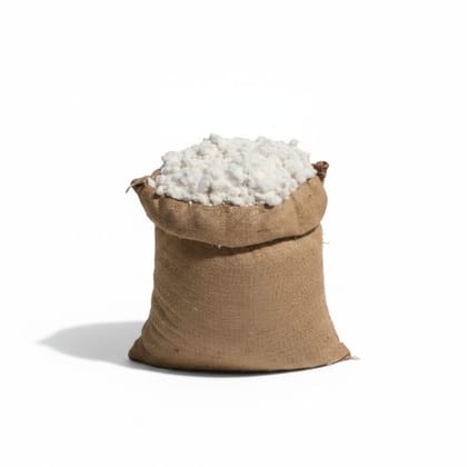 Premium Raw Cotton in Jute Sack - 10 kg - One jute sack containing raw cotton