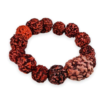 MAYAPURI Rudraksha Bracelet 3 Mukhi and 5 Mukhi Rudraksha Bracelet for Men and Women Combo (Pack of 2) MAYAPURI Rudraksha Bracelet 3 Mukhi and 5 Mukhi Rudraksha Bracelet for Men and Women Combo (Pack of 2)