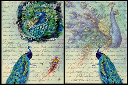 Brand Zero Luxury Speciality Decoupage Paper - Morini