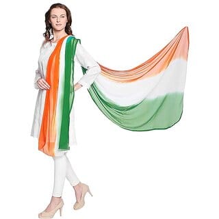 Multicolour Chiffon Dupatta republic day