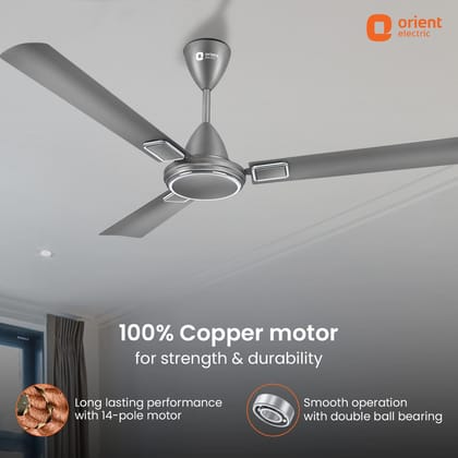 Falcon Deco High Speed Ceiling Fan | 2-Year Quality Warranty Falcon Deco High Speed Ceiling Fan | 2-Year Quality Warranty - 1200MM / Royal Manioca Falcon Deco High Speed Ceiling Fan | 2-Year Quality Warranty Falcon Deco High Speed Ceiling Fan | 2-Year Quality Warranty - 1200MM / Royal Manioca