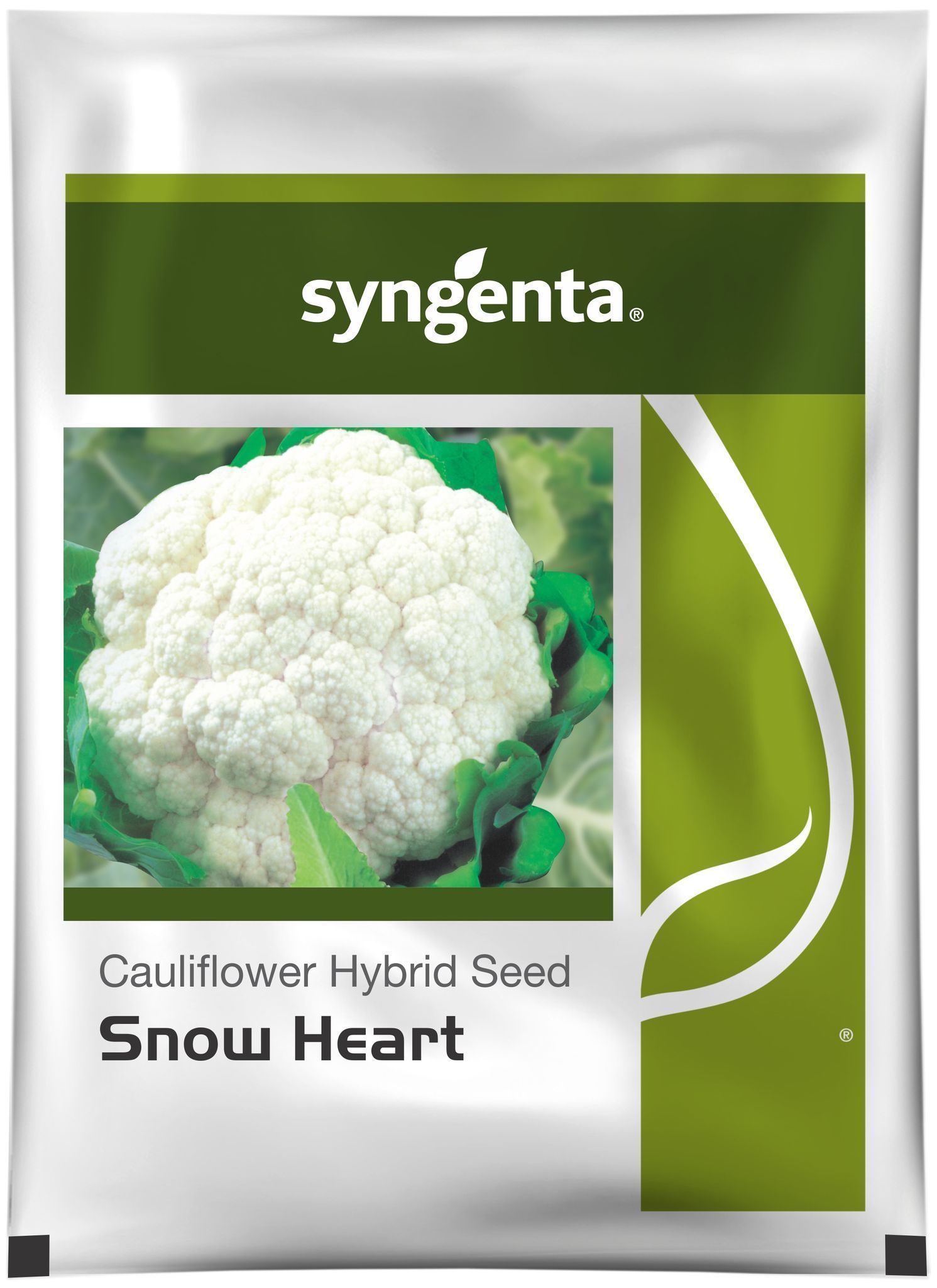 SNOW HEART