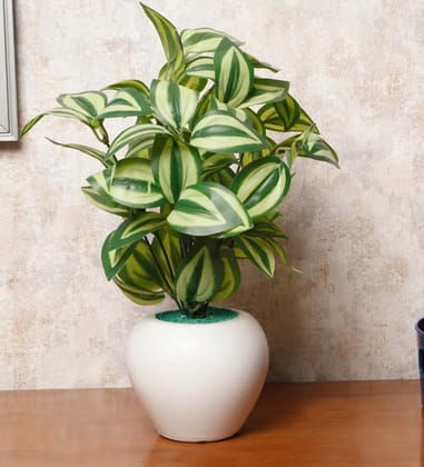 Foliyaj Artificial Watermelon Plant with Apple Pot |Artificial Plants for Home Decor| Indoor Artificial Plants for Living Room|Potted Artificial Plants Foliyaj Artificial Watermelon Plant with Apple Pot |Artificial Plants for Home Decor| Indoor Artificial Plants for Living Room|Potted Artificial Plants