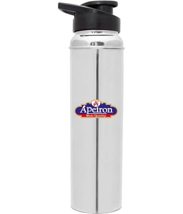 APEIRON na Silver 1000 mL Stainless Steel Water Bottle set of 1