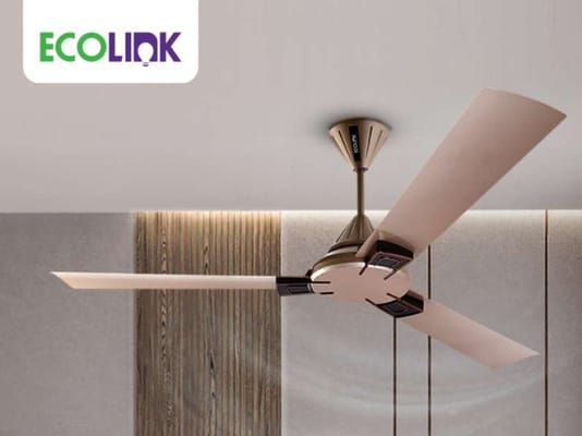 Ecolink - Noida