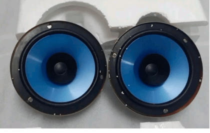 Nippon NFC 1601 Car Speakers.