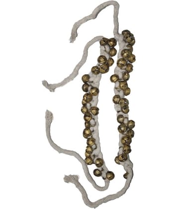 Kaku Fancy Dresses Ghungroo For Kids State Dance/Western Dance For Kids School  Annual function/Theme Party/Competition/Stage Shows/Birthday Party Dress