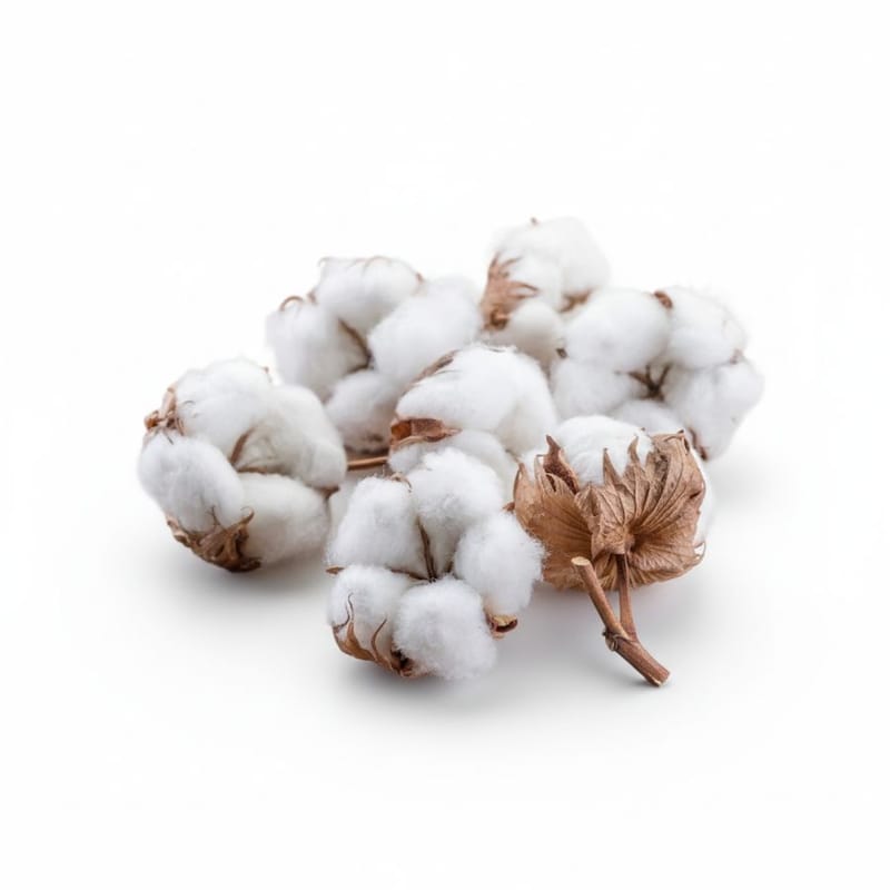 ... ...