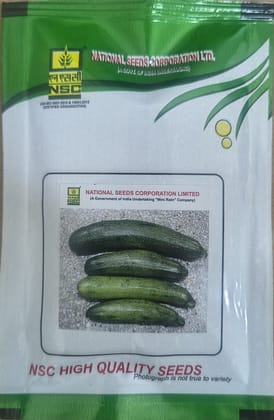 NSC Summer Squash Australian Green seed , 10gm