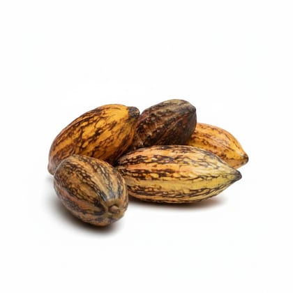 Fresh Organic Cocoa Pods - 1 kg - A cluster of raw cocoa pods