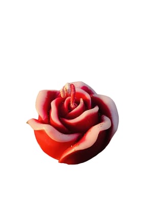 Elegant French Rose Scented Candle - 100% Organic Soy Wax, Hand-Poured, Eco-Friendly, Perfect for Gifts & Home Décor Elegant French Rose Scented Candle - 100% Organic Soy Wax, Hand-Poured, Eco-Friendly, Perfect for Gifts & Home Décor