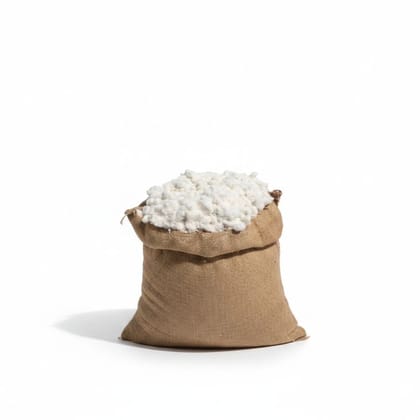 Raw Cotton Fibers in Burlap Sack - 20 kg - One burlap sack containing 20kg raw cotton