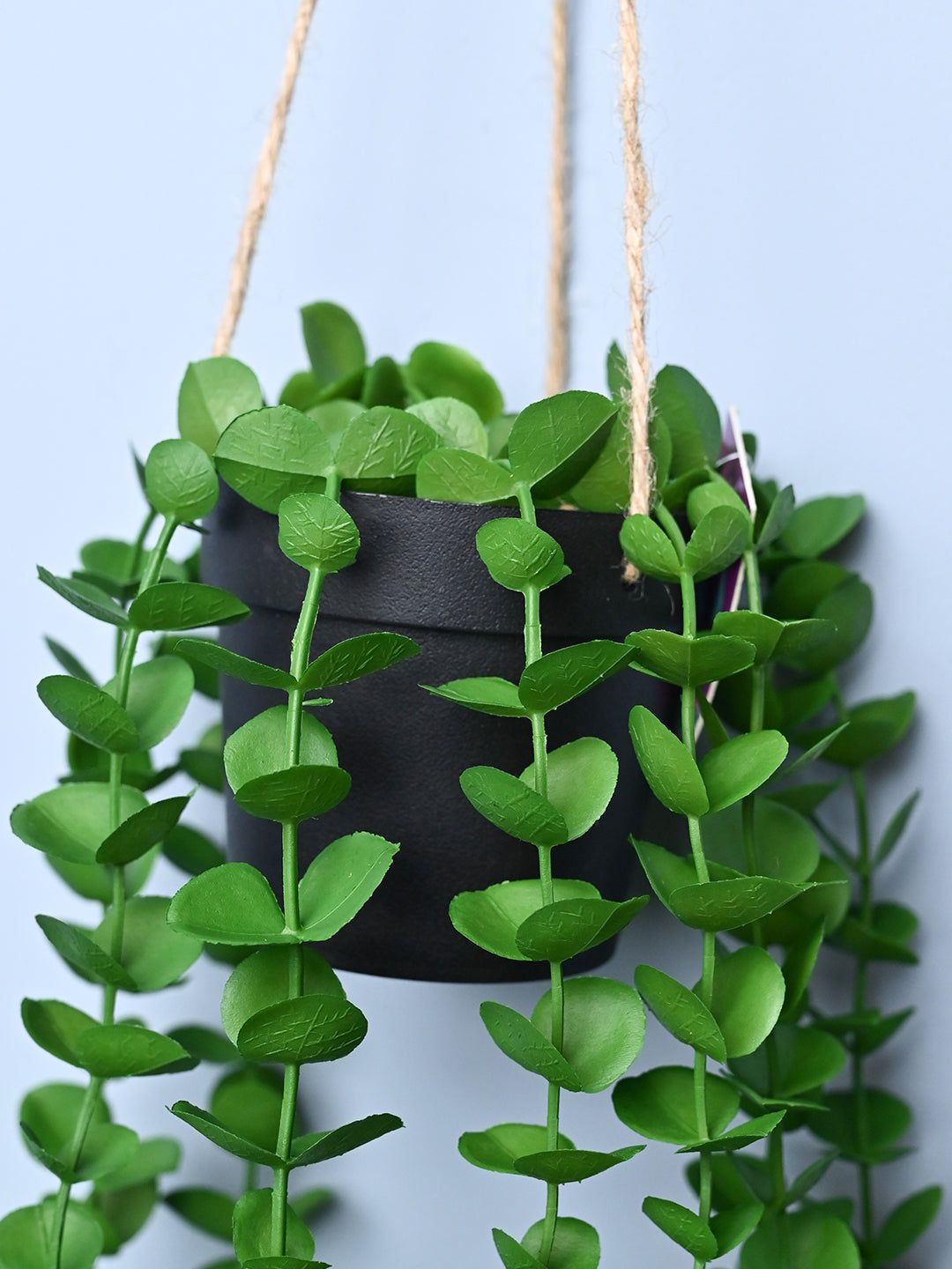 Green Hanging Planter - Cylindrical Shape