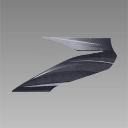 STRIPE L FR VISOR(TYPE-3) - Passion Pro - 83408AAC200TS