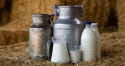 Farm Fresh Milk - 300 gm - One bottle of milk