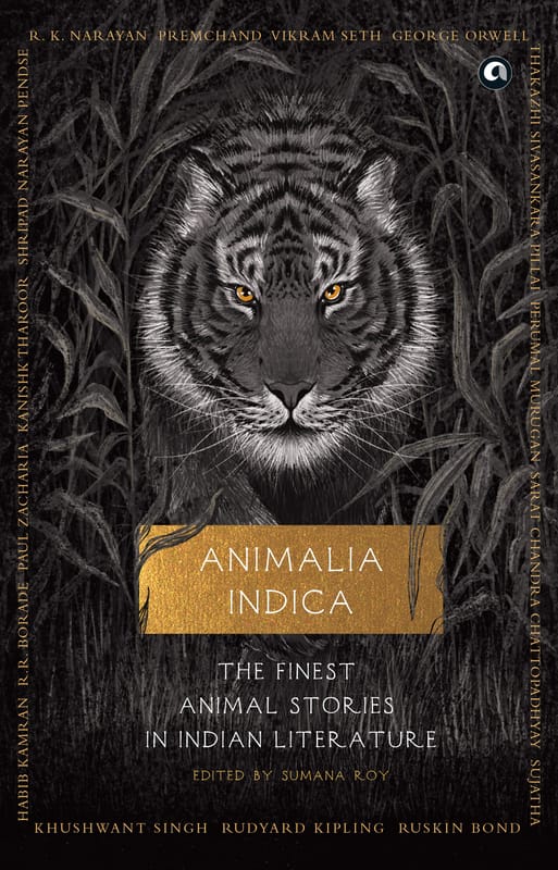 ... ...