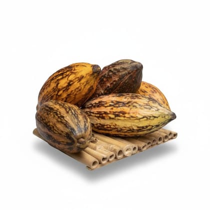 Fresh Raw Cocoa Pods - 1 kg - One kilogram of raw cocoa pods