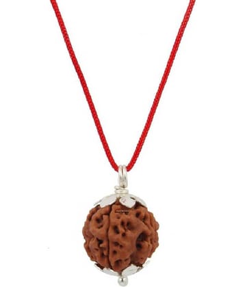 Astrodidi 6 Mukhi Rudraksha Silver Pendant With Lab Certificate