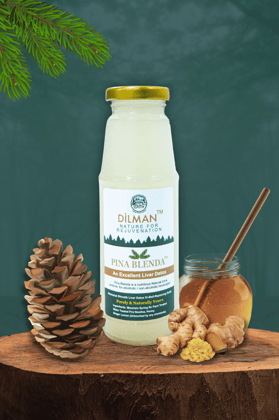 Pina Blenda Liver Detox - Natural Beverage