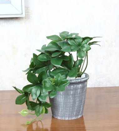 Foliyaj Artificial Schefflera Plant with Pot |Artificial Plants for Home Decor| Indoor Artificial Plants for Living Room|Potted Artificial Plants