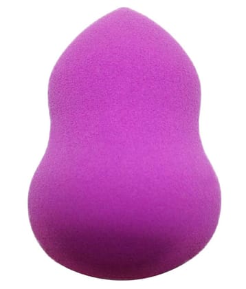 ShopCircuit Beauty Blender Sponge