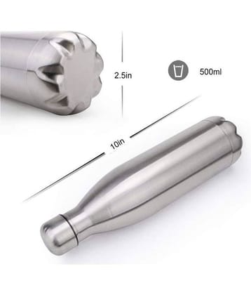 Shuangyou Silver 500 mL Hot and Cold Steel Water Bottle set of 1
