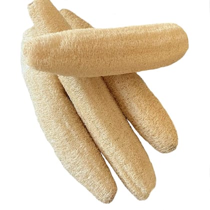 ATNAYAJ Natural Organic Loofah, Body Scrubber/Bathing Sponge for Unisex, Size: 10-12 inch ATNAYAJ Natural Organic Loofah, Body Scrubber/Bathing Sponge for Unisex, Size: 10-12 inch