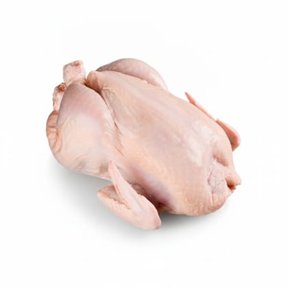 Fresh Whole Chicken - 1 kg - One whole chicken