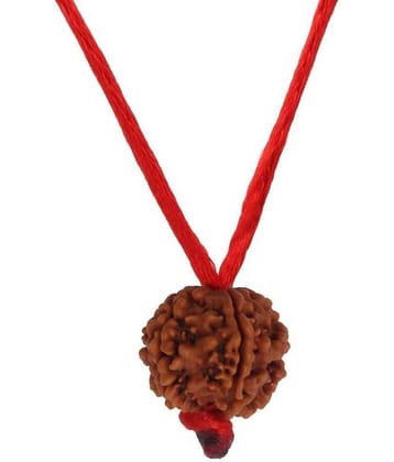 Astrodidi Nepali 6 Mukhi Rudraksha With Lab Certificate