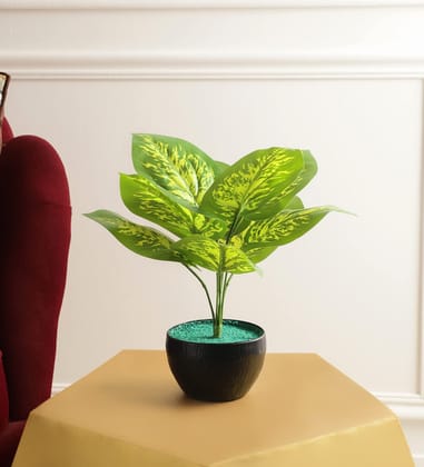 Foliyaj Real Look Artificial Money Plant with 9 Leaves and Pot|Bonsai Tree|Artificial Flower|with Pot|Home D�cor for Living Room Home Office Shop|House|Gift|Decoration Foliyaj Real Look Artificial Money Plant with 9 Leaves and Pot|Bonsai Tree|Artificial Flower|with Pot|Home D�cor for Living Room Home Office Shop|House|Gift|Decoration