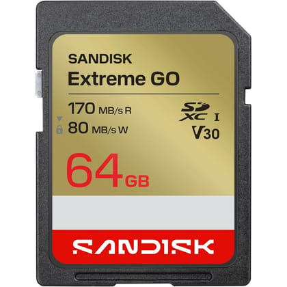 SANDISK 64GB Extreme Go SD UHS-I Card, Up to 170MB/s Read, 80MB/s Write, Memory Card for 4K Video for DSLR and Mirrorless Camera, Limited Limited Warranty
