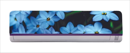 DreamKraft Decorative Blue Flowers with Blur Leaves AC Sticker (Multicolor PVC Vinyl, 30cm X 91cm) DreamKraft Decorative Blue Flowers with Blur Leaves AC Sticker (Multicolor PVC Vinyl, 30cm X 91cm)
