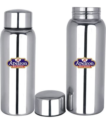 APEIRON Silver 500 mL Water Bottle set of 2