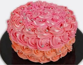 Blushing Berry Rose